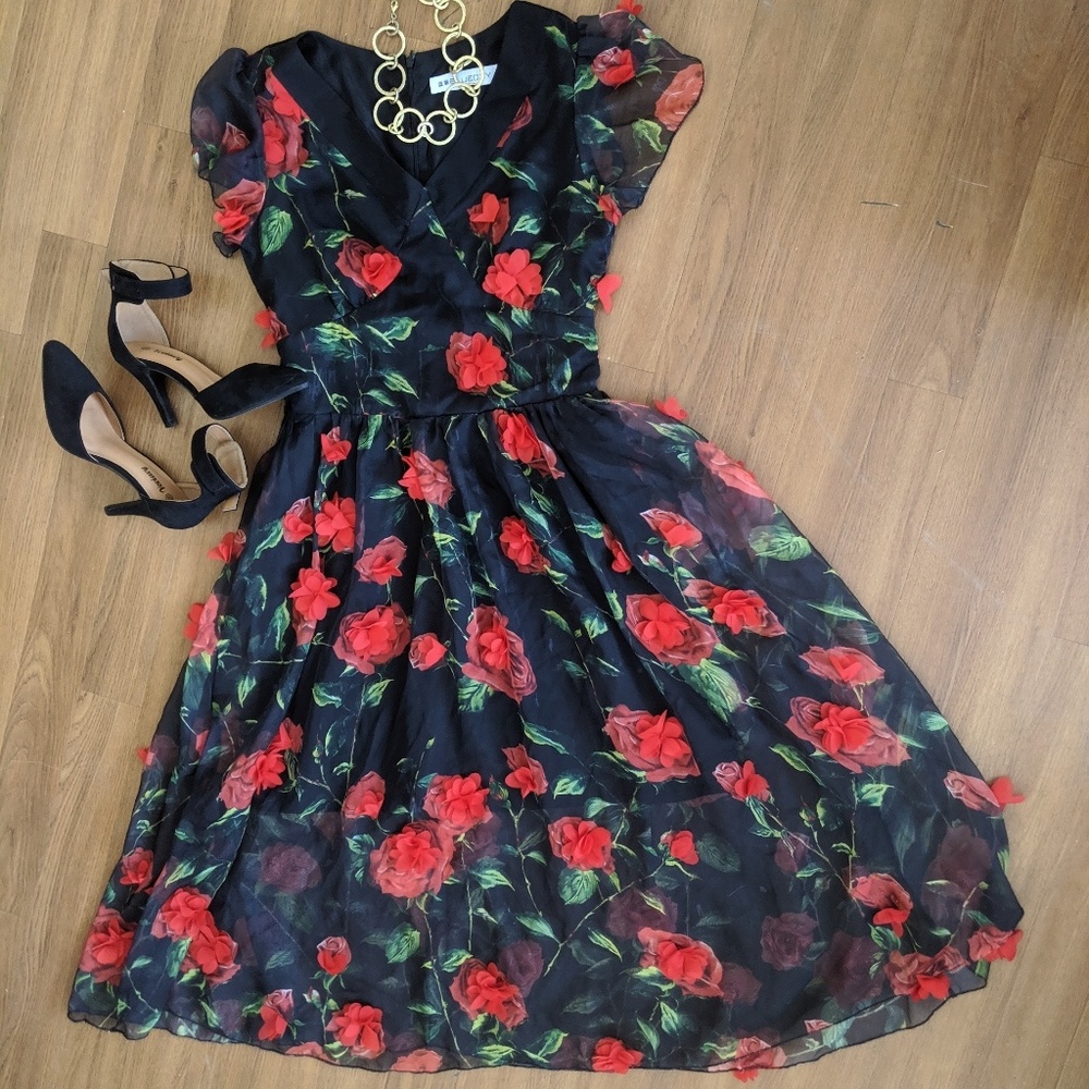 Anthropology/BLUEOXY Black Rose Appliqué Dress